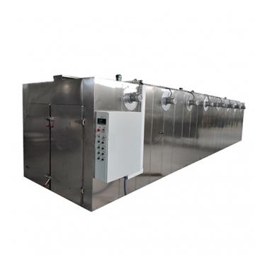 Small and Large Grape Fruit Drying Machine