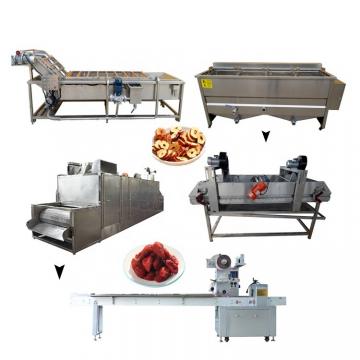 Turnkey Preserved Fruit and Vegetable Processing Line Candied Fruit Production Plant Dried Fruit and Vegetable Project Candied Preserved Fruit Processing Line