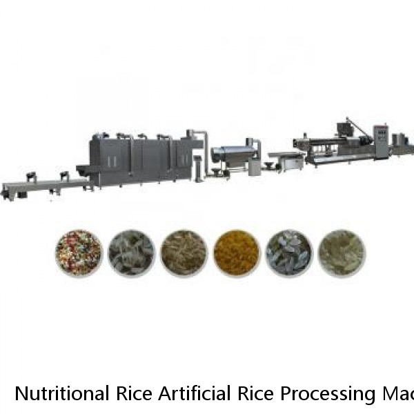 Nutritional Rice Artificial Rice Processing Machinery