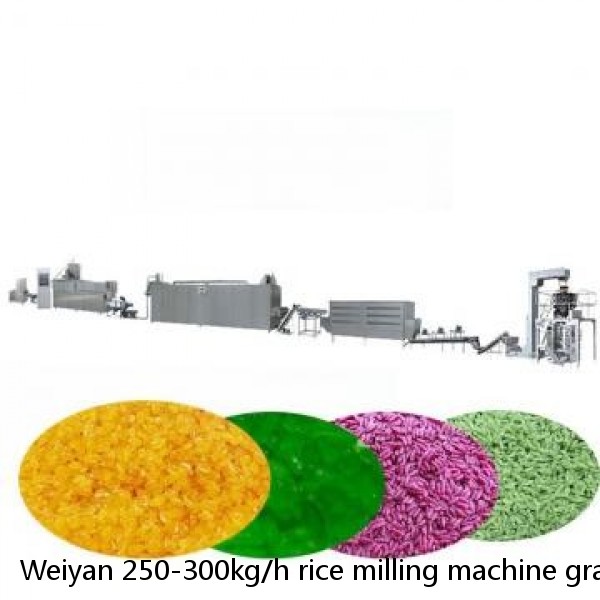 Weiyan 250-300kg/h rice milling machine grain processing mini rice mill grain hammer mills for Philipphines