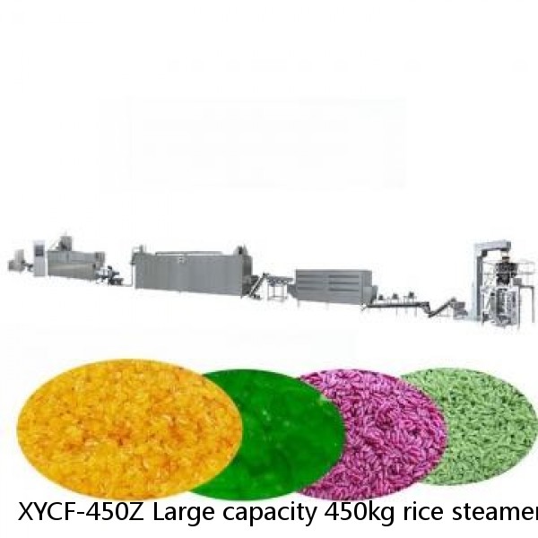 XYCF-450Z Large capacity 450kg rice steamer cooker/steam rice cooking line/ instant rice processing line for restaurant